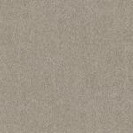 TruSpirit I Area Rug carpet close-up