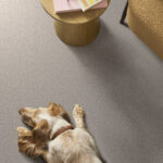 Grand Influence I Fresco carpet in a living room with a dog