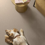 Imaginable I Dunes carpet in a living room with a dog
