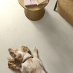 Luxe Feel II Icelandic carpet in a living room with a dog