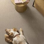 Purrfection Champagne carpet in a living room with a dog
