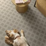 Scout Birch carpet in a living room with a dog