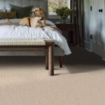 Secret Journey Dune View carpet in a bedroom with a dog