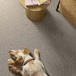 Stonebrook Crescent Moon carpet in a living room with a dog