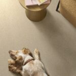 Tonal Comfort Blue Sun Kissed carpet in a living room with a dog